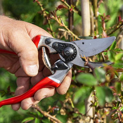 FELCO 9 Pruning Shears / Secateurs - Left Handed