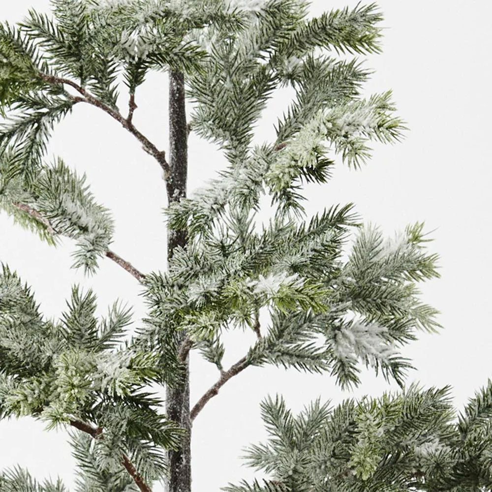 FLORAL INTERIORS Tree Fir Snow in pot White Green