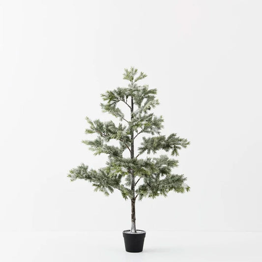 FLORAL INTERIORS Tree Fir Snow in pot White Green