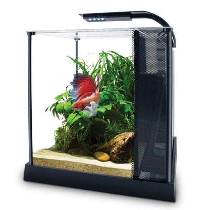 FLUVAL Betta Premium Aquarium Kit 10L