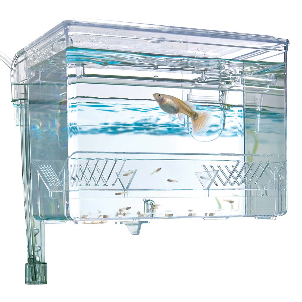FLUVAL Hang-On Breeding Box