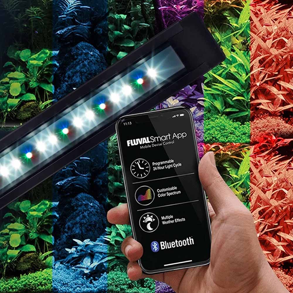 FLUVAL Flex Aquarium Kit 123L