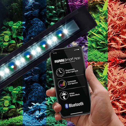 FLUVAL Flex Aquarium Kit 123L