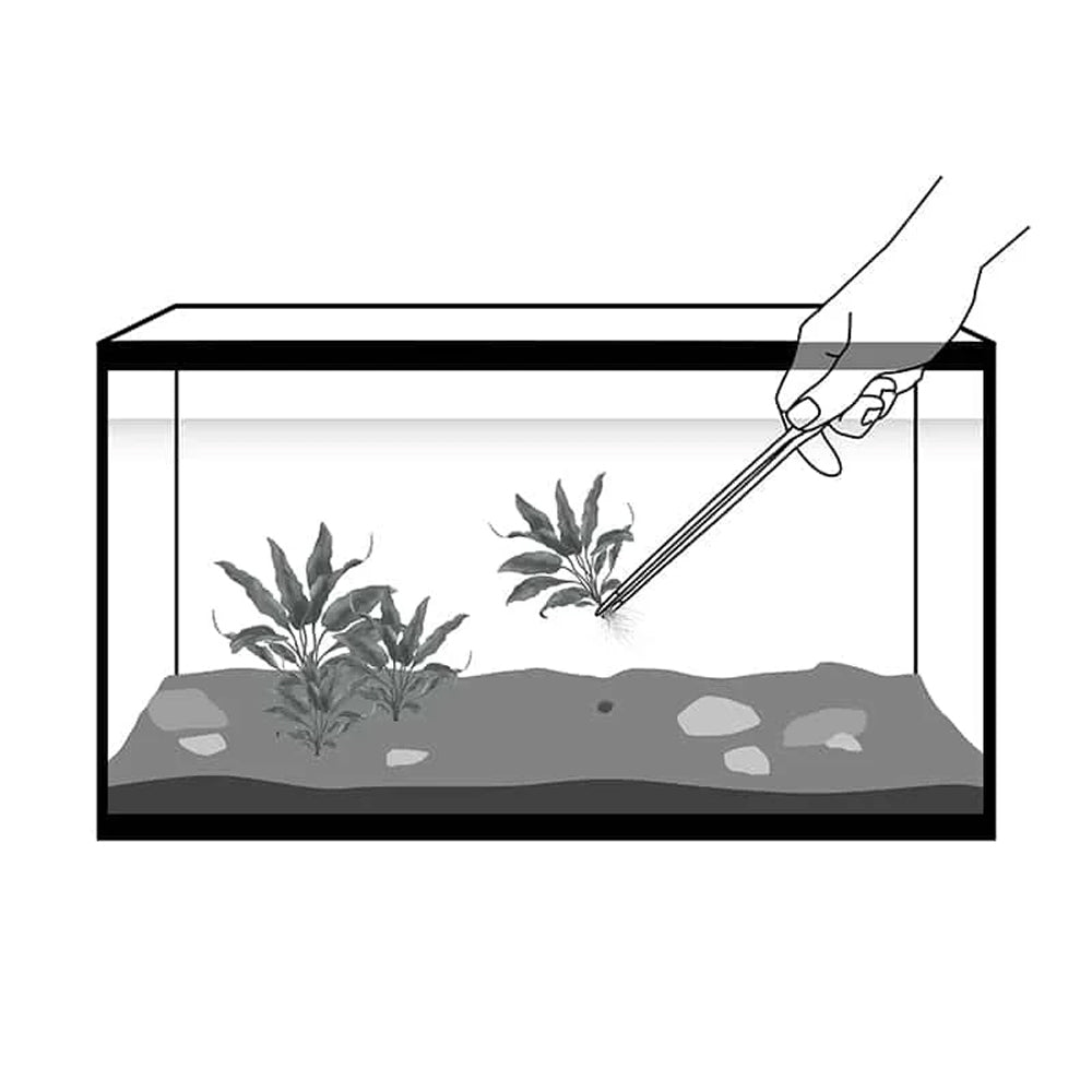 FLUVAL Straight Plant Forceps