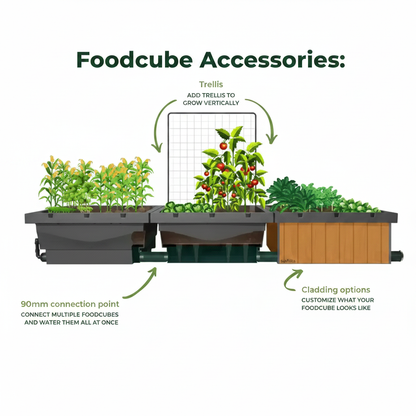 Foodcube Accessories Infographic – Square