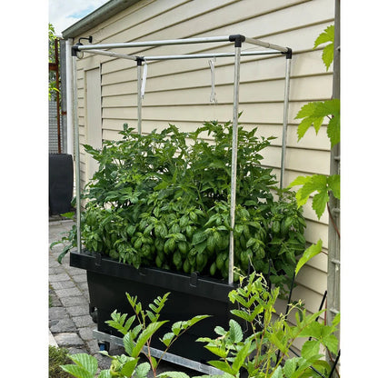 FOODCUBE Slim