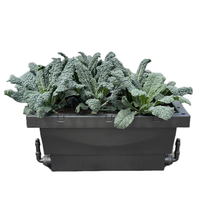 FOODCUBE Slim