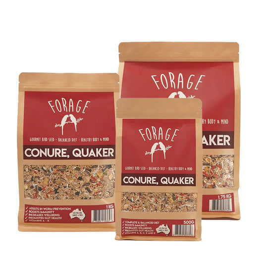 FORAGE GOURMET BIRD SEED Conure & Quaker Specialty Blend
