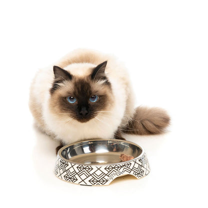 FUZZYARD Easy Feeder Cat Bowl - Gatsby