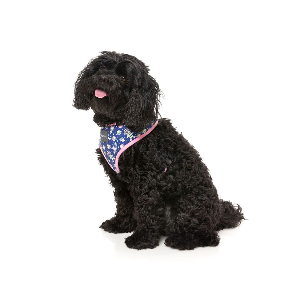 FUZZYARD Pluto Pup Dog Harness