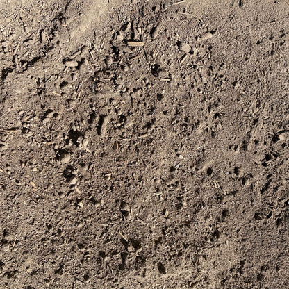 Garden Blend