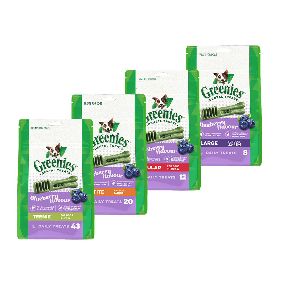 GREENIES Blueberry Dental Dog Treats
