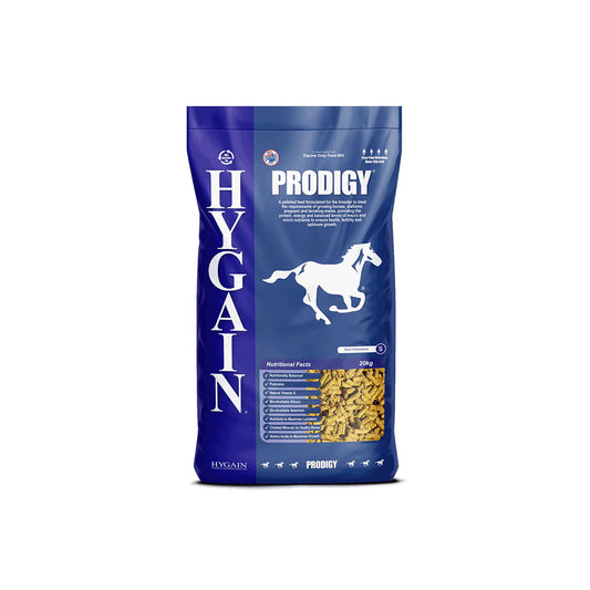 HYGAIN Prodigy