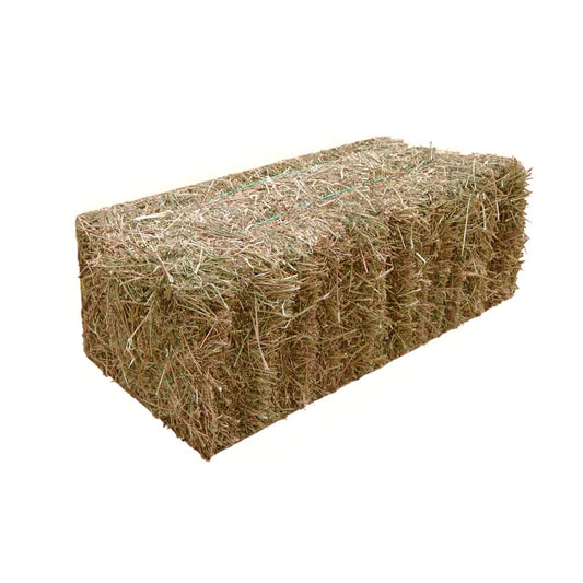 Grass Hay Rectangle Bale
