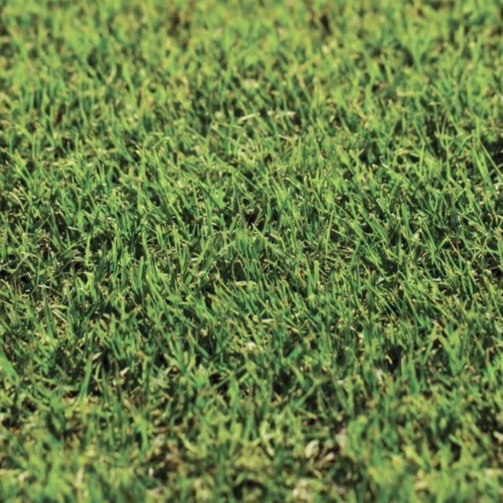 ANCO Instant Turf Nullarbor Santa Ana Couch - per m2