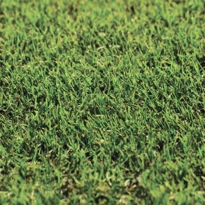 ANCO Instant Turf Nullarbor Santa Ana Couch - per m2