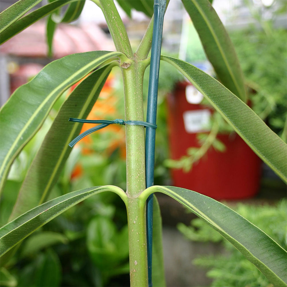 JACK Twist Ties