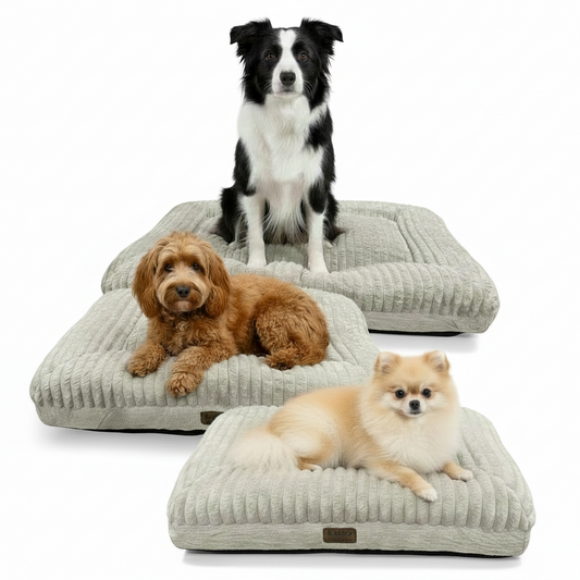 Kazoo Cloud Comfort Beige Dog Beds being enjoyed by cute little friends of Wallington's WRG