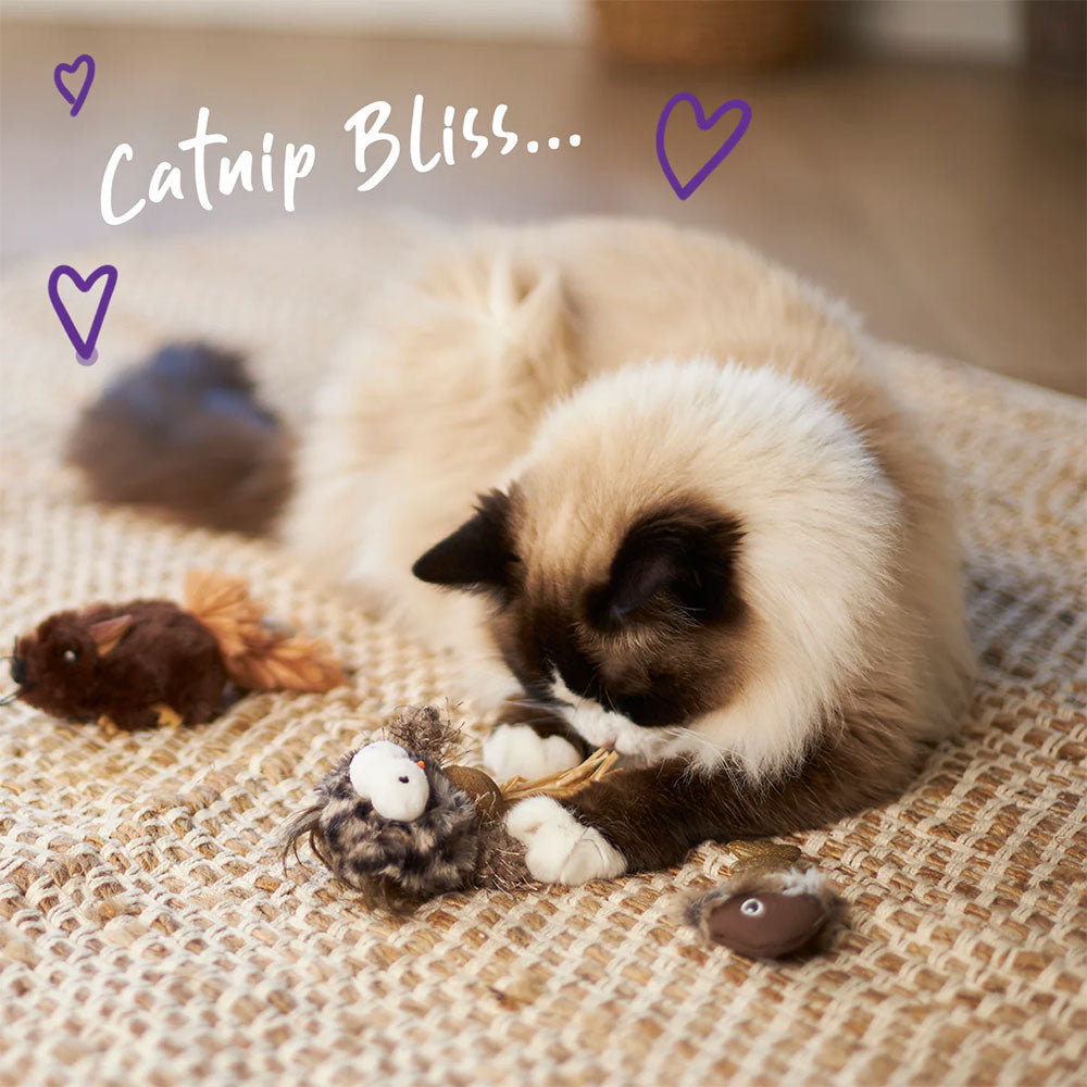 KAZOO Hooty Owl with Catnip