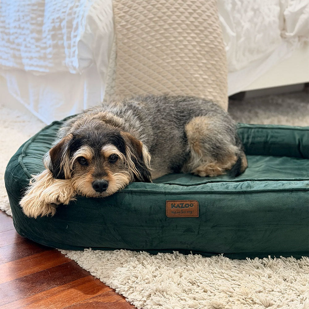 KAZOO Loop Neck Support Dog Bed