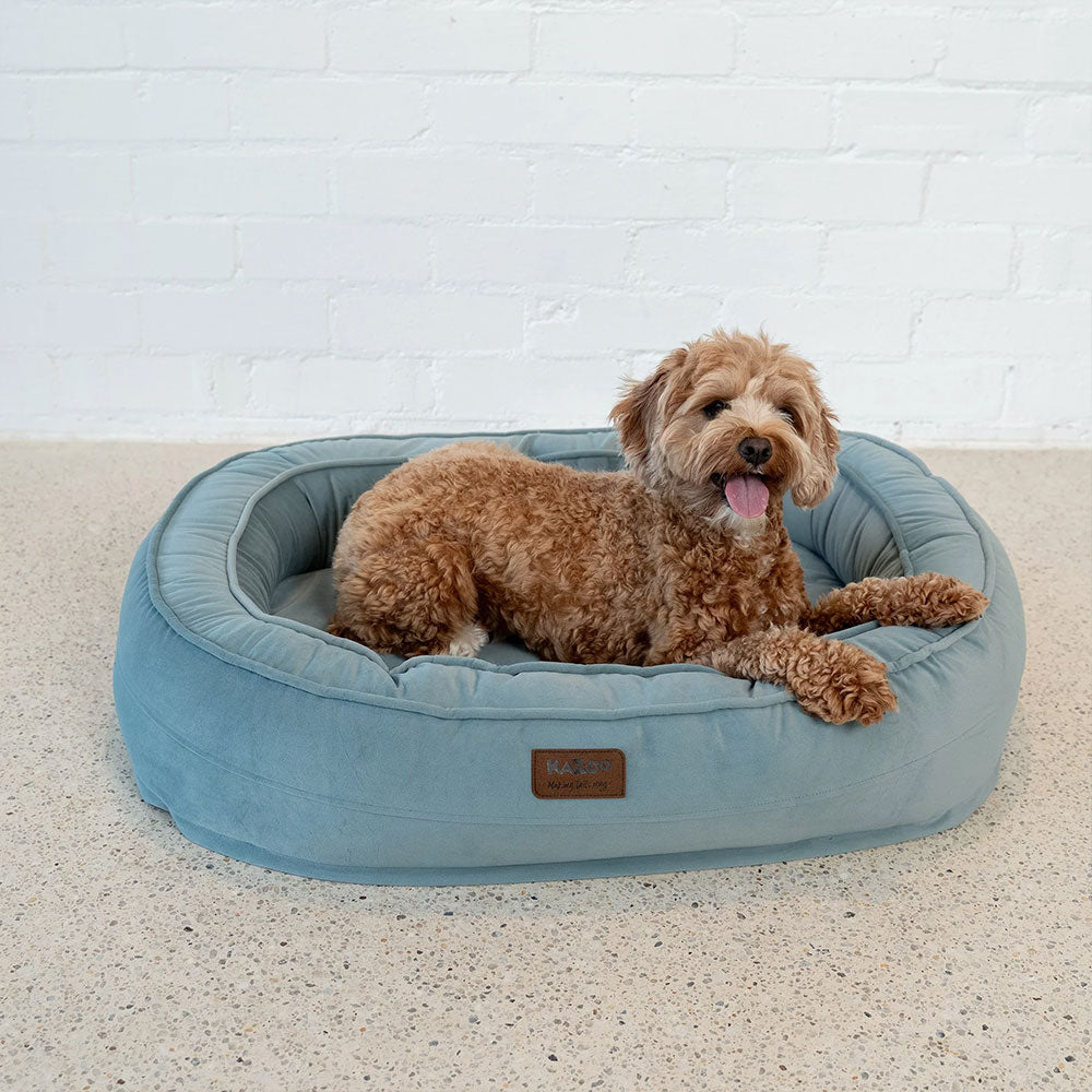 KAZOO Loop Neck Support Dog Bed