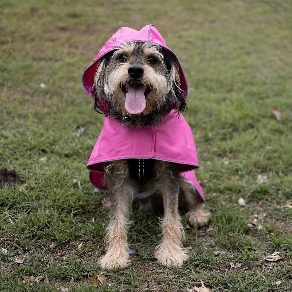 KAZOO Rainy Days Pink Waterproof Dog Raincoat