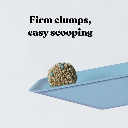 KAZOO Squat Club Fast Clumping Clay Cat Litter