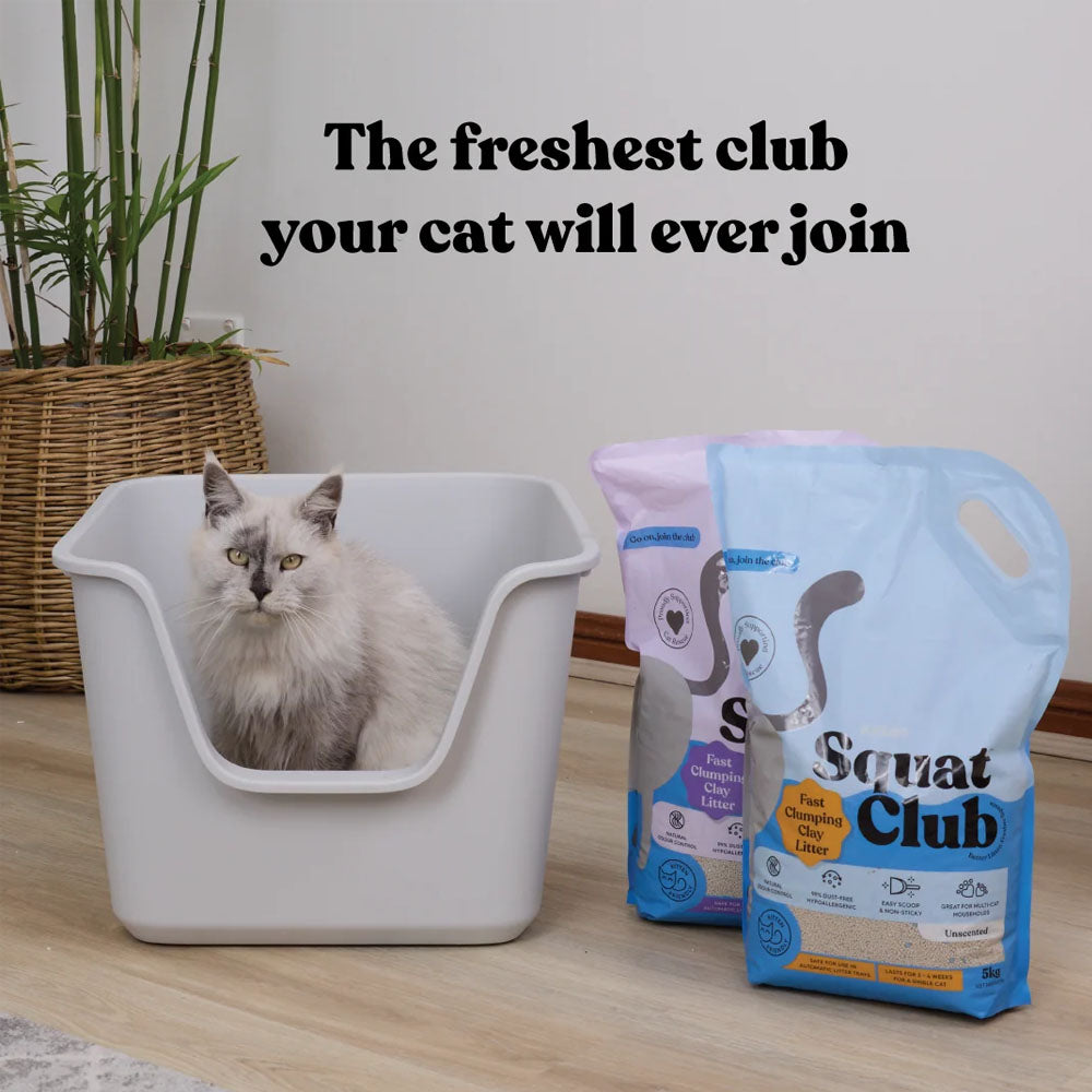 KAZOO Squat Club Fast Clumping Clay Cat Litter