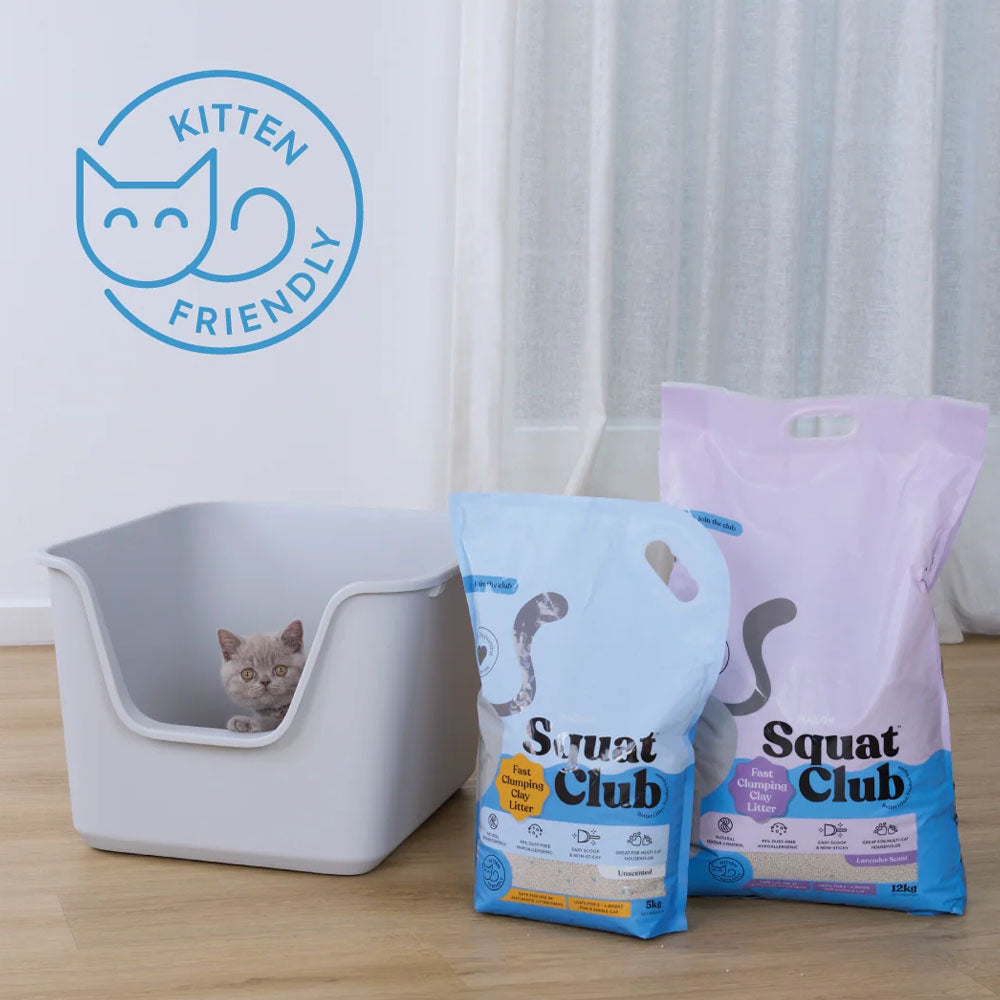 KAZOO Squat Club Fast Clumping Clay Cat Litter