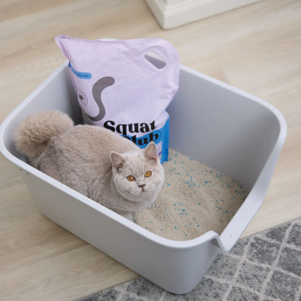 KAZOO Squat Club Fast Clumping Clay Cat Litter Lavender