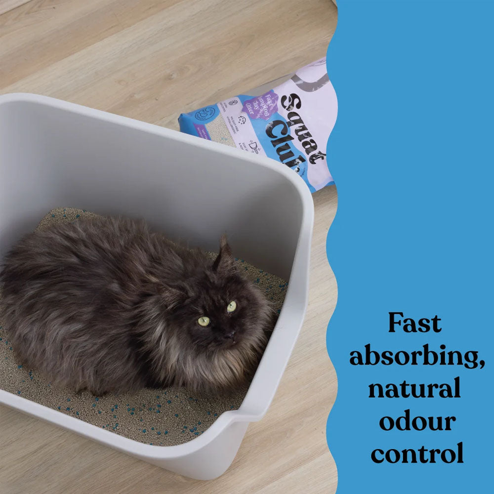 KAZOO Squat Club Fast Clumping Clay Cat Litter Lavender