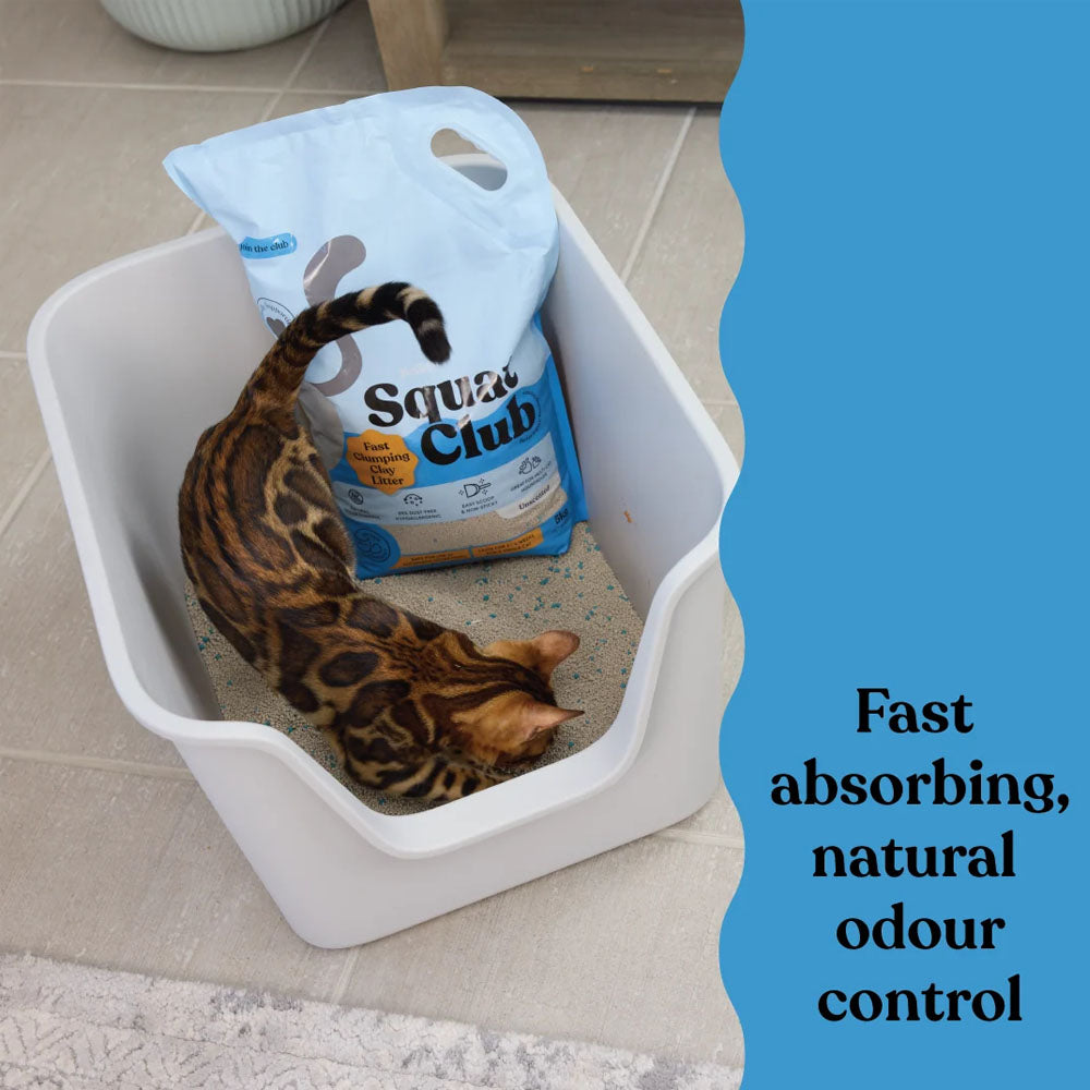 KAZOO Squat Club Fast Clumping Clay Cat Litter