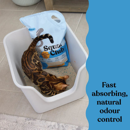 KAZOO Squat Club Fast Clumping Clay Cat Litter