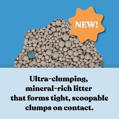 KAZOO Squat Club Fast Clumping Clay Cat Litter
