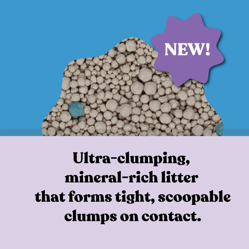 KAZOO Squat Club Fast Clumping Clay Cat Litter Lavender