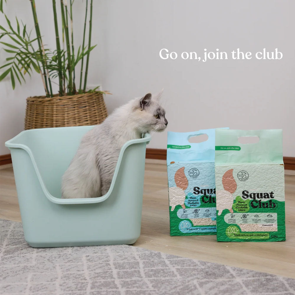 KAZOO Squat Club Plant Powered Flushable Cat Litter Fresh Scent