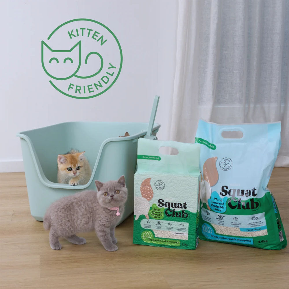 KAZOO Squat Club Plant Powered Flushable Cat Litter Fresh Scent