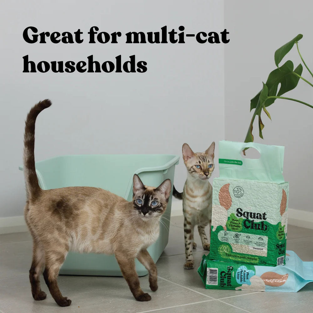 KAZOO Squat Club Plant Powered Flushable Cat Litter Fresh Scent