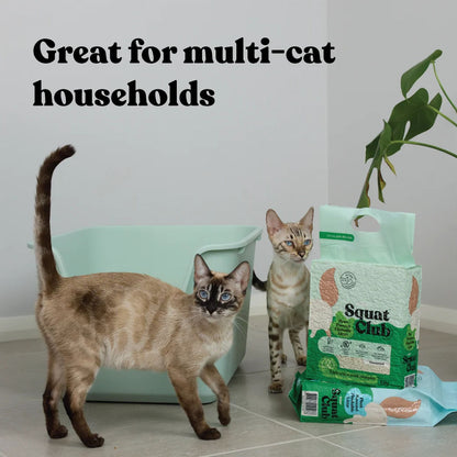 KAZOO Squat Club Plant Powered Flushable Cat Litter Fresh Scent