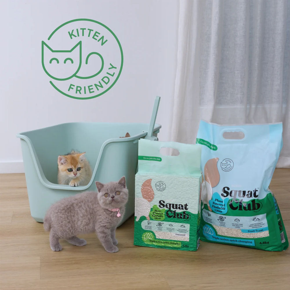 KAZOO Squat Club Plant Powered Flushable Cat Litter