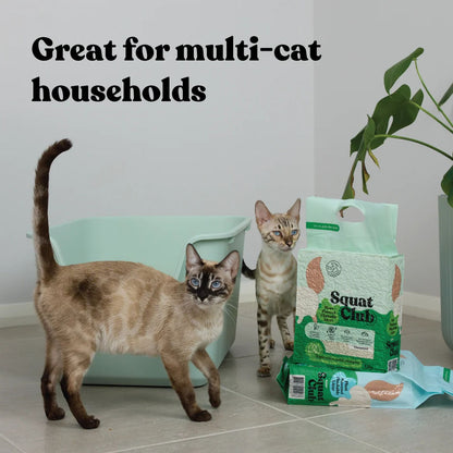KAZOO Squat Club Plant Powered Flushable Cat Litter