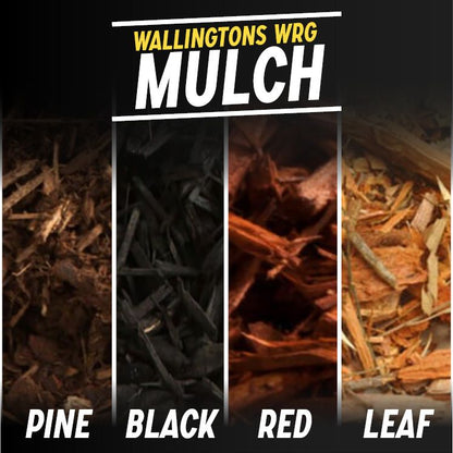 Red Mulch
