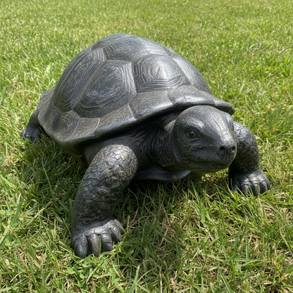 Turtle Garden Statue
