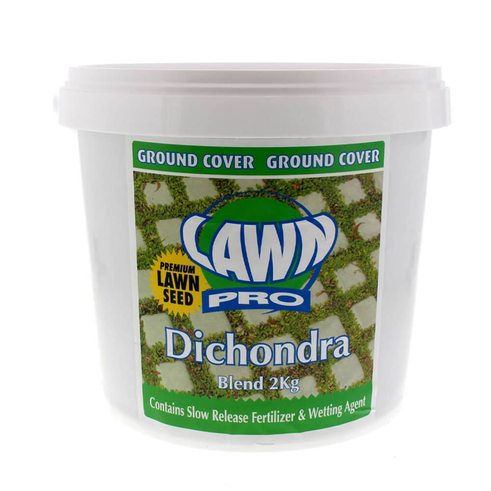 LAWN PRO Dichondra Blend Grass Seed