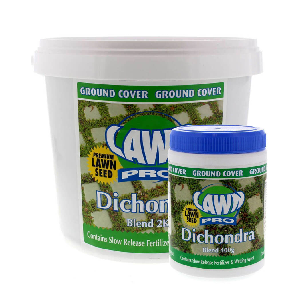 LAWN PRO Dichondra Blend Grass Seed