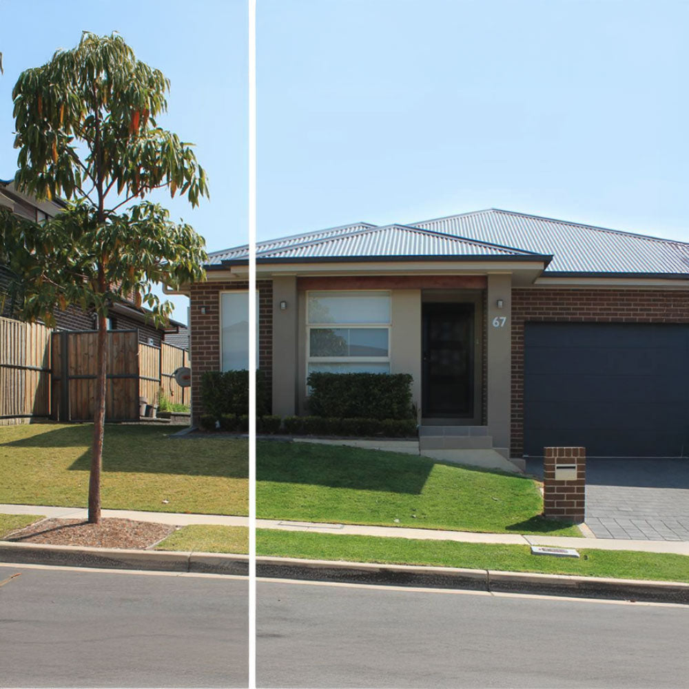 LAWN SOLUTIONS ColourGuard Plus