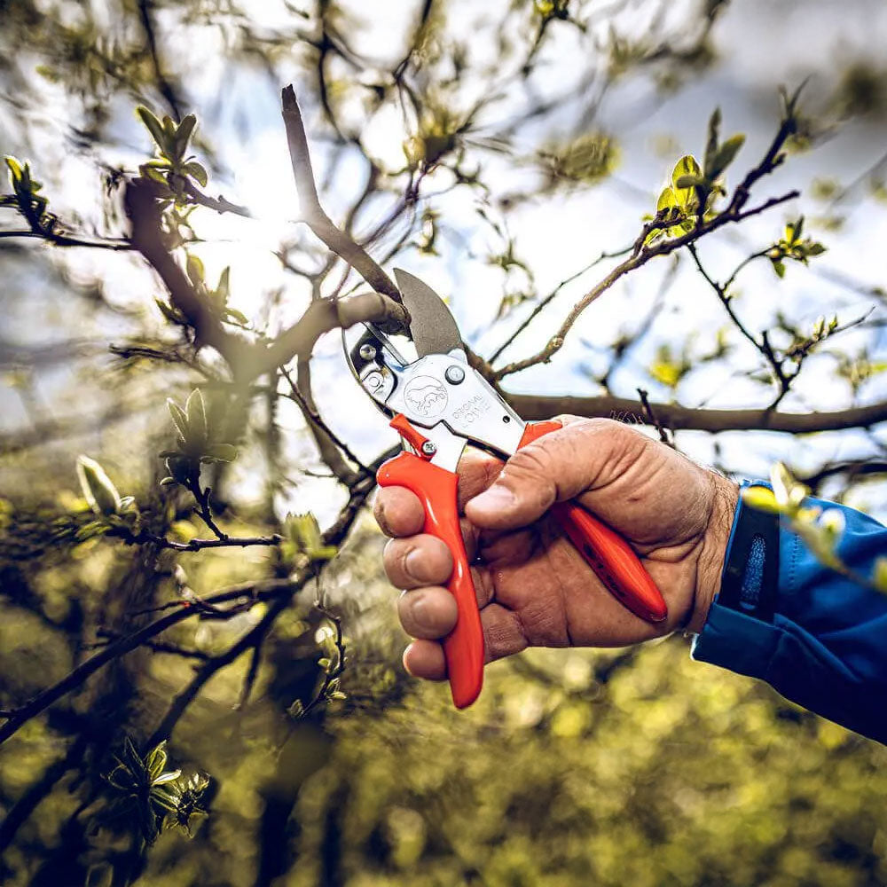 LÃWE 1.104 Anvil Pruning Shears