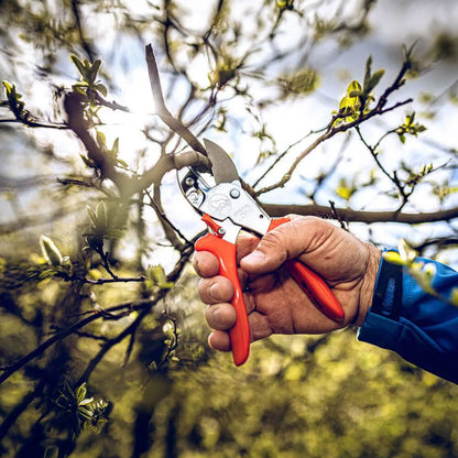 LÃWE 1.104 Anvil Pruning Shears