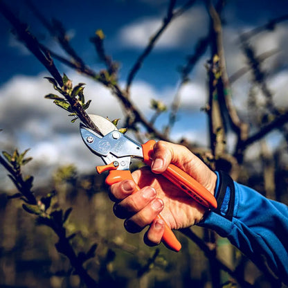 LÃWE 5.104 Anvil Pruning Shears