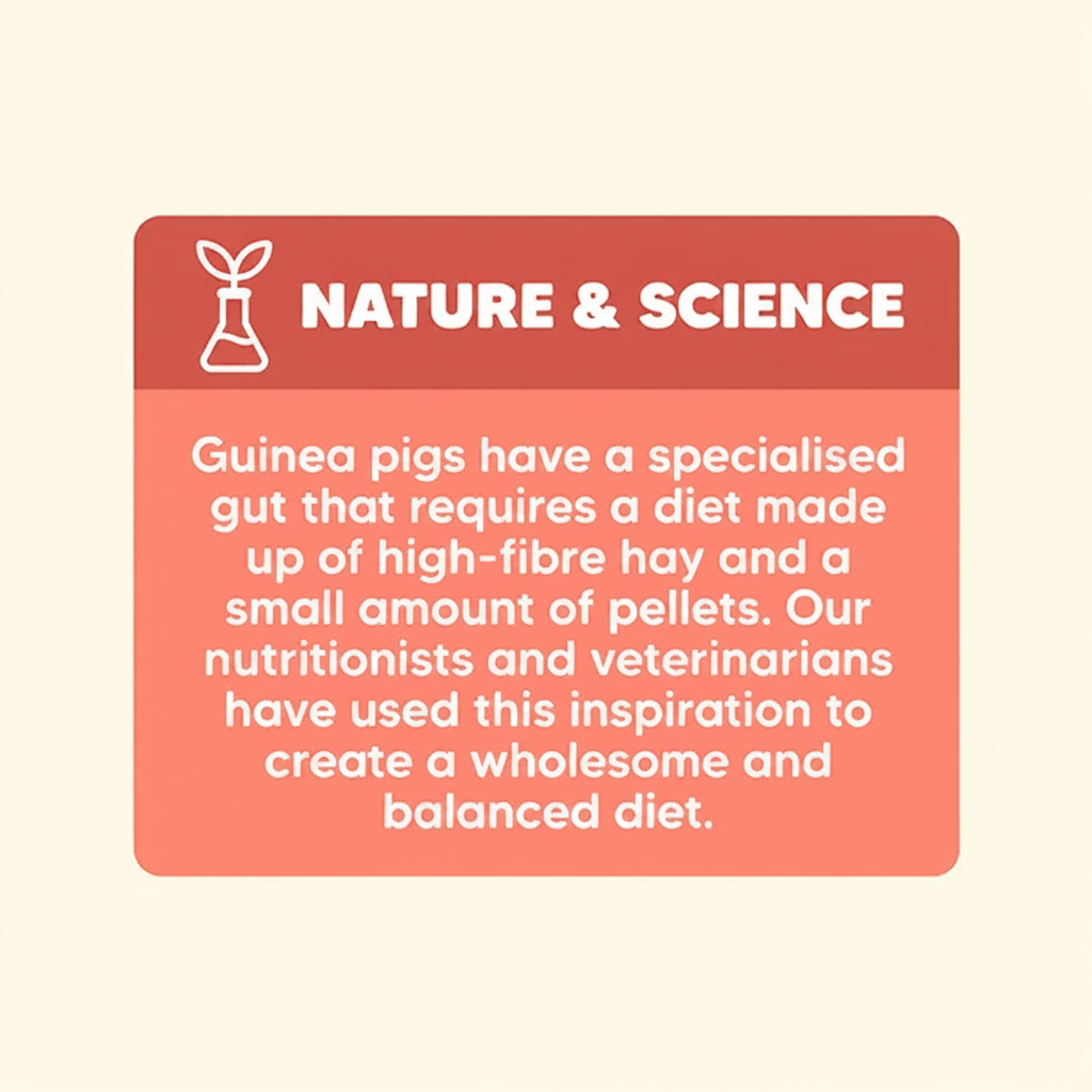 Nature & Science - Square
